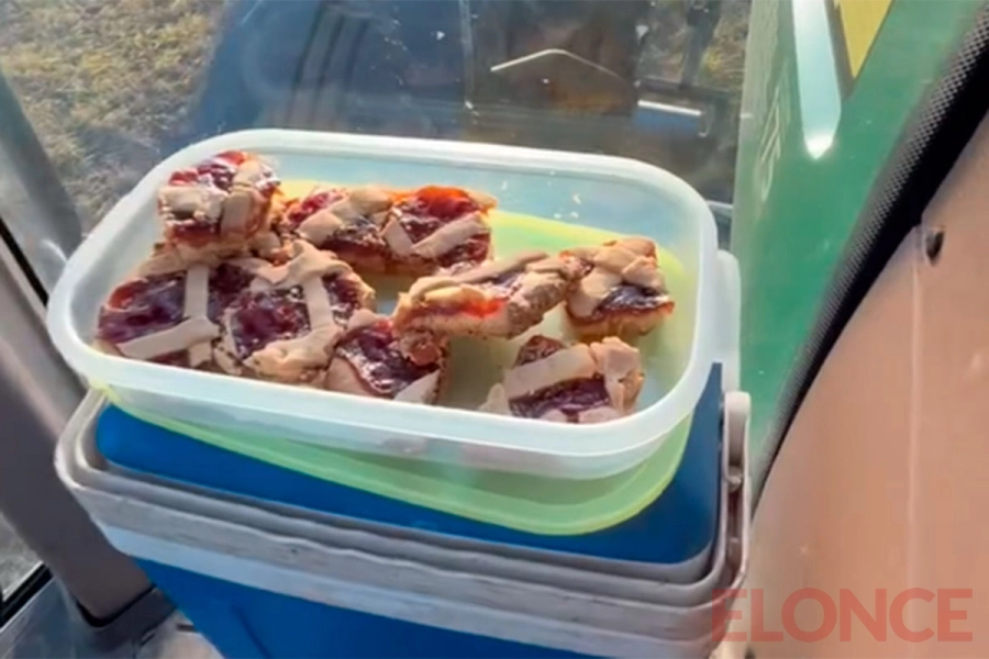 La merienda de Sof&iacute;a