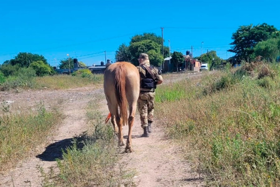 estaba en zona de pastizales
