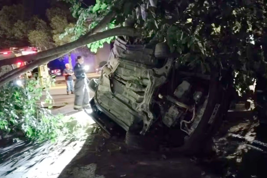 El auto qued&oacute; incrustado contra un &aacute;rbol y tuvieron que sacarlo los Bomberos. (Foto: Diario El Sol Mendoza).