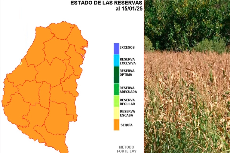 El mapa de Entre Ríos se tiñó de naranja por la sequía: cuándo podría cambiar la situación