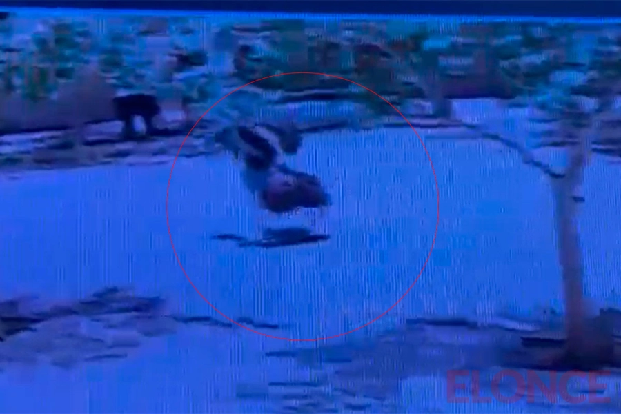 Robo en tiempo real de cinco j&oacute;venes paranaenses