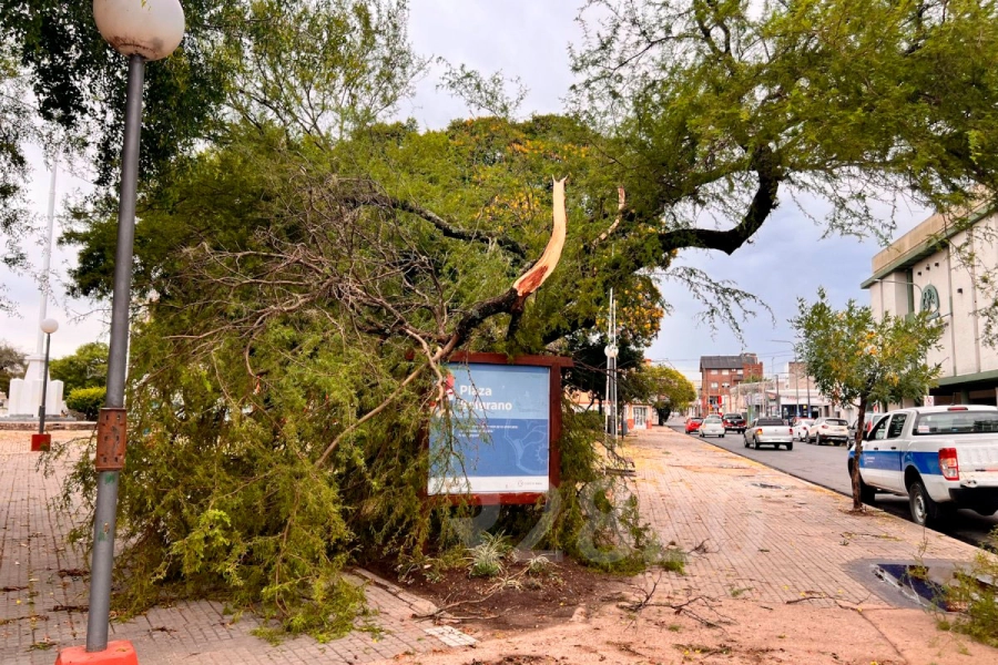 Temporal en Gualeguaych&uacute;. (Foto: R2820)