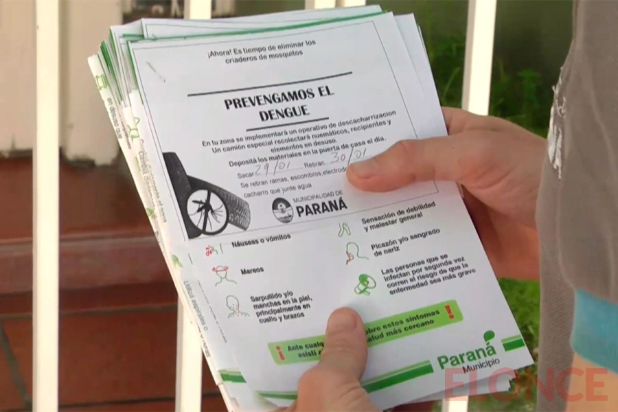 Dengue: tareas preventivas en Paran&aacute;