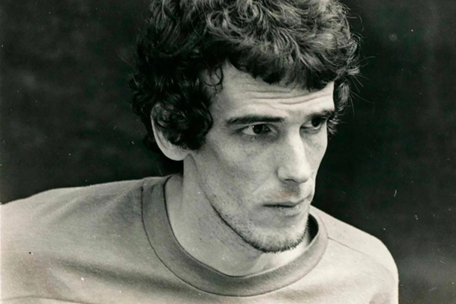 Luis Alberto Spinetta. Redes