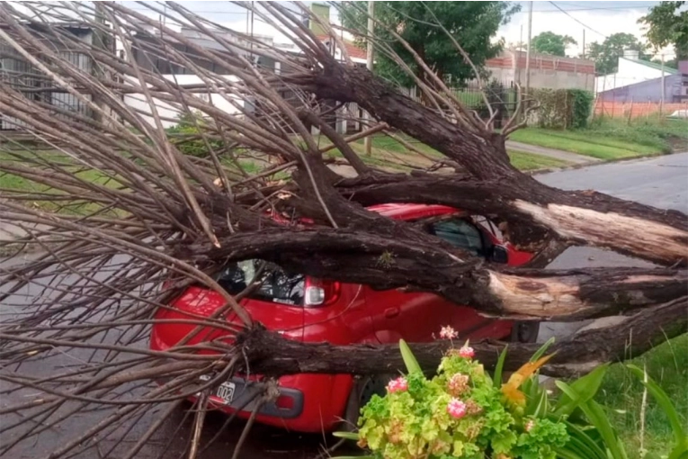 La lluvia y el viento afectaron Paraná y la zona: árboles caídos y voladuras de techos