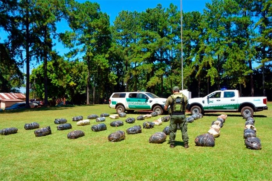 Marihuana incautada en Misiones. Gendarmer&iacute;a
