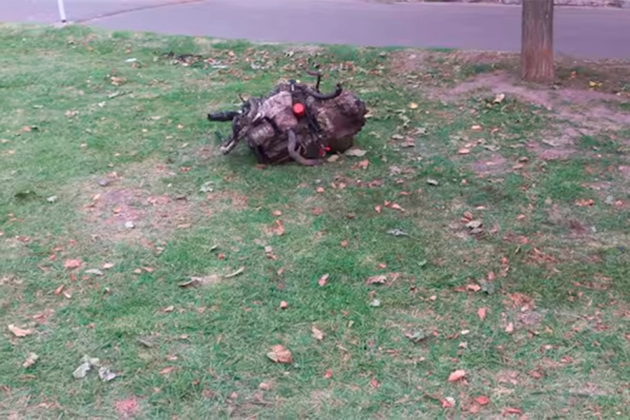 El motor del auto. La Naci&oacute;n