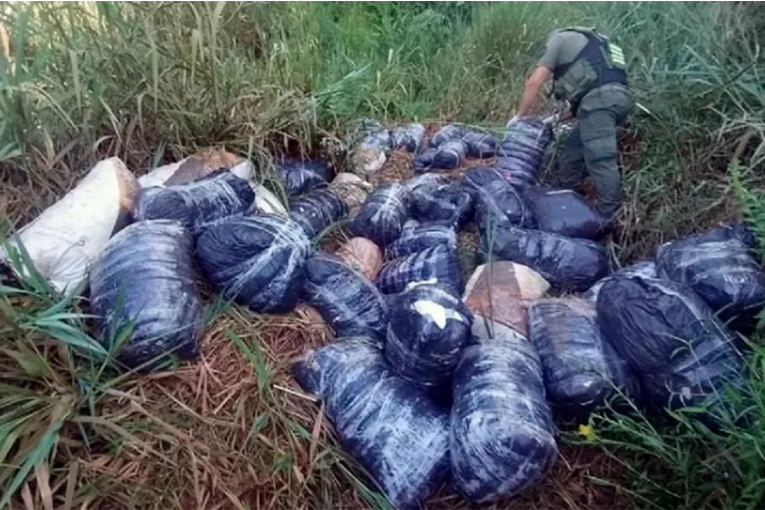 Golpe al narcotráfico: secuestraron más de 700 kilos de droga en Misiones