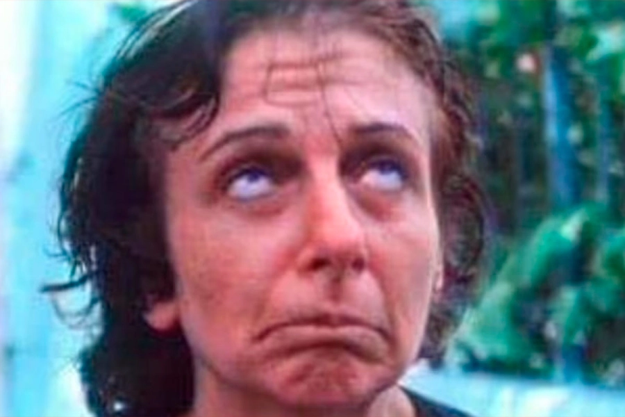 Emilia, el personaje que interpretó Catalano en Esperando la Carroza (Instagram).