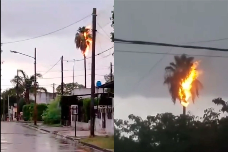 Durante la tormenta, un rayo cayó sobre una palmera y se prendió fuego