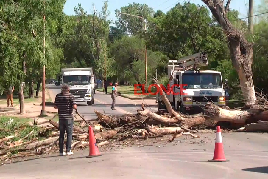 Interrumpieron el tr&aacute;nsito en la zona.