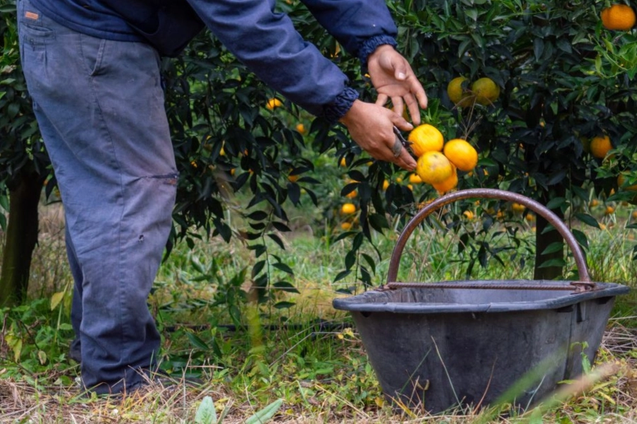 Foto: Archivo Elonce.