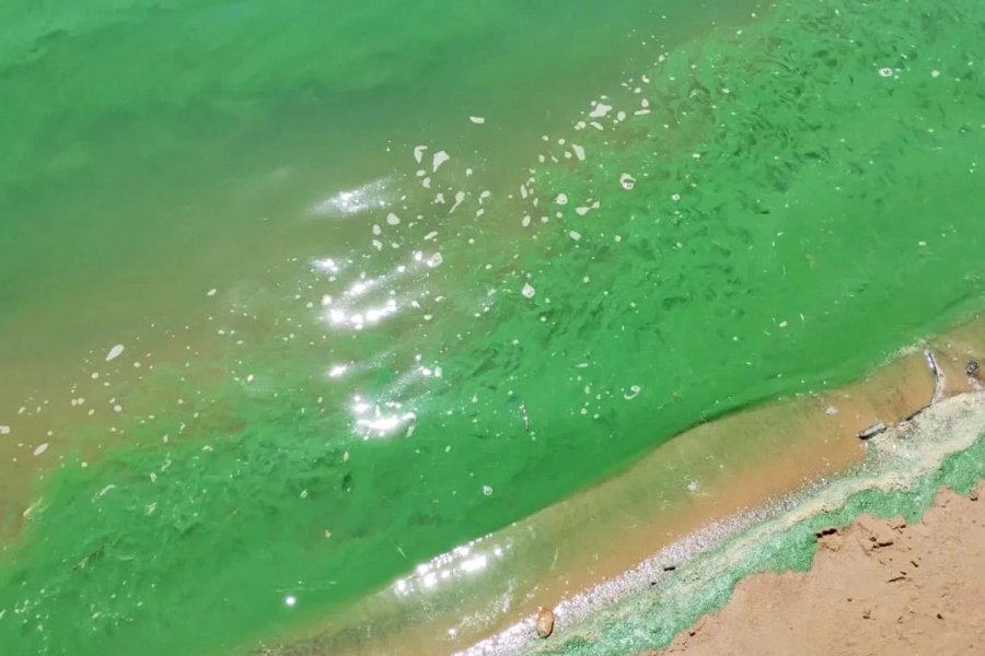 Foto: Archivo Elonce.