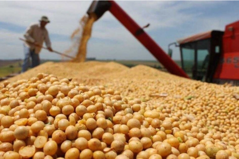 Las exportaciones entrerrianas crecieron casi 30% en 2025