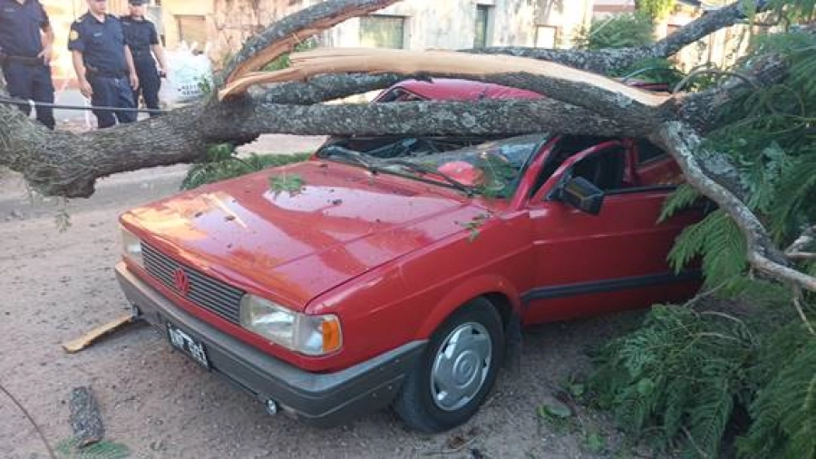 (foto Federal al d&iacute;a)