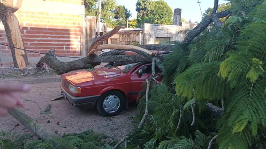 (foto Federal al d&iacute;a)