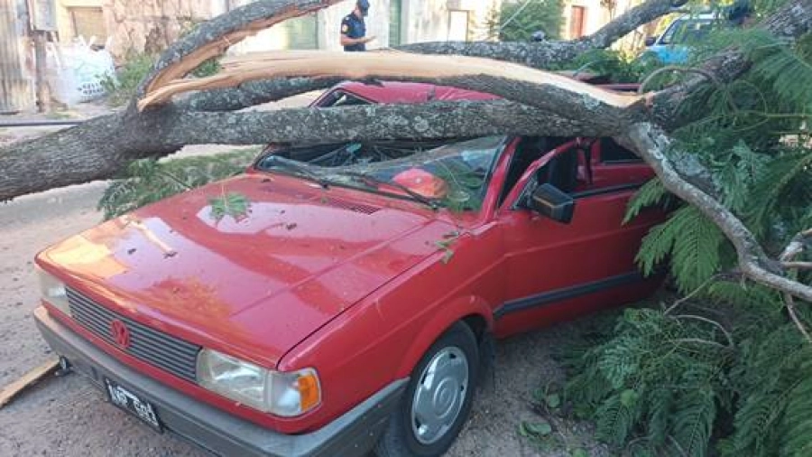 (foto Federal al d&iacute;a)