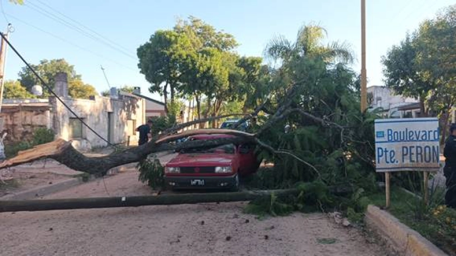 (foto Federal al d&iacute;a)