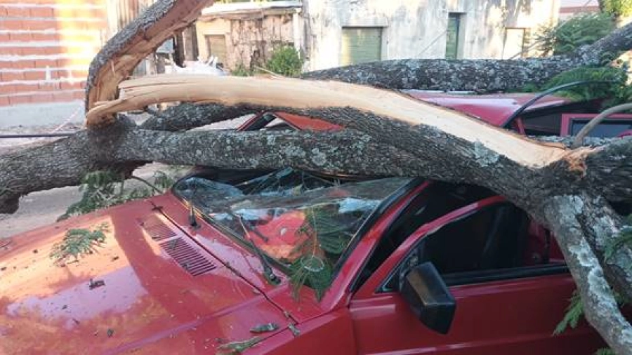 (foto Federal al d&iacute;a)