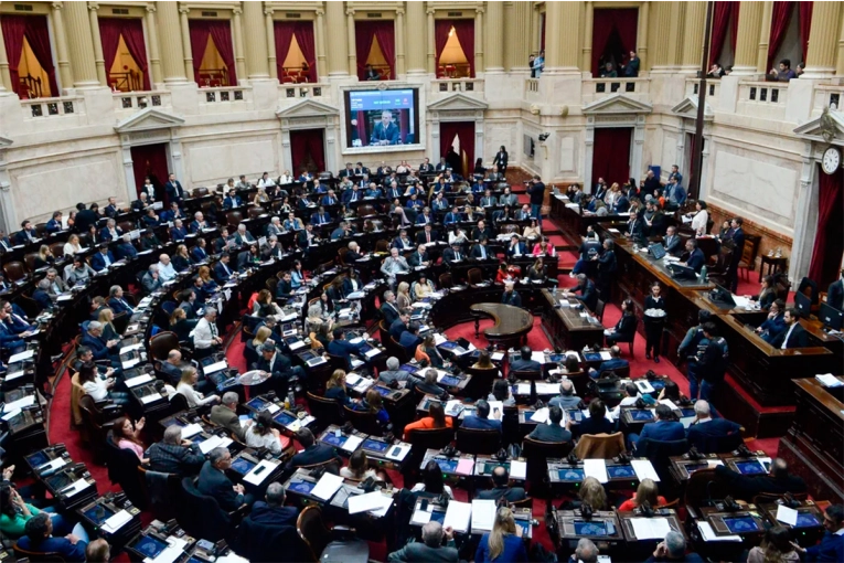 Diputados debaten hoy la suspensión de las PASO: las perspectivas