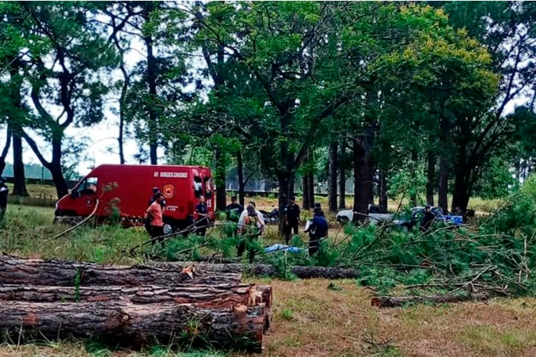 Murió un trabajador al ser aplastado por un árbol en Concordia