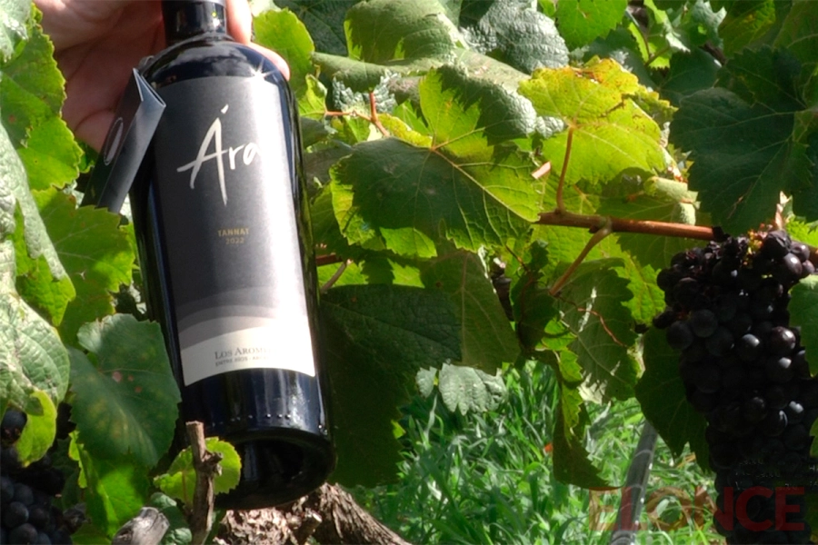 Ar&aacute;, uno de los vinos de Vi&ntilde;edo y Bodega &ldquo;Los Aromitos&rdquo; (foto Elonce)