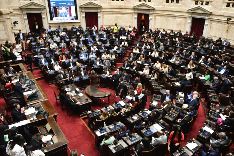 Diputados dio media sanción a la suspensión de las Elecciones PASO