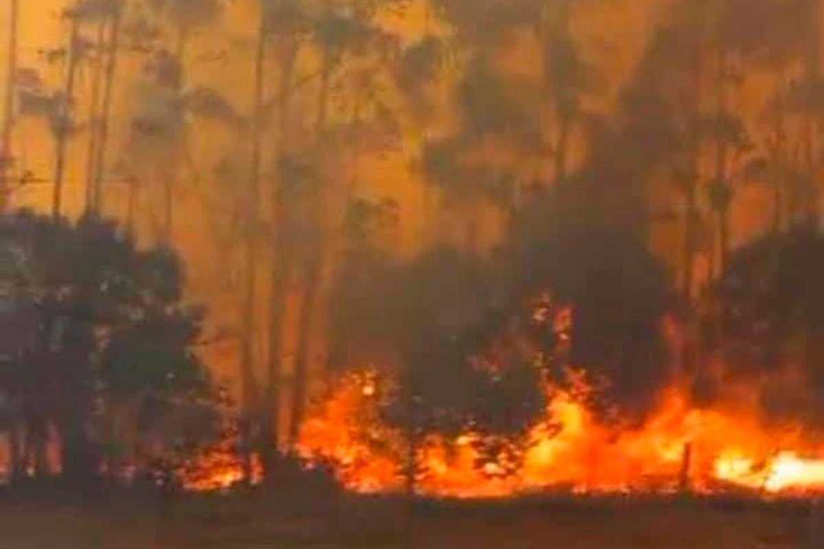 El fuego no cesa en la provincia. El fuego no cesa en la provincia.