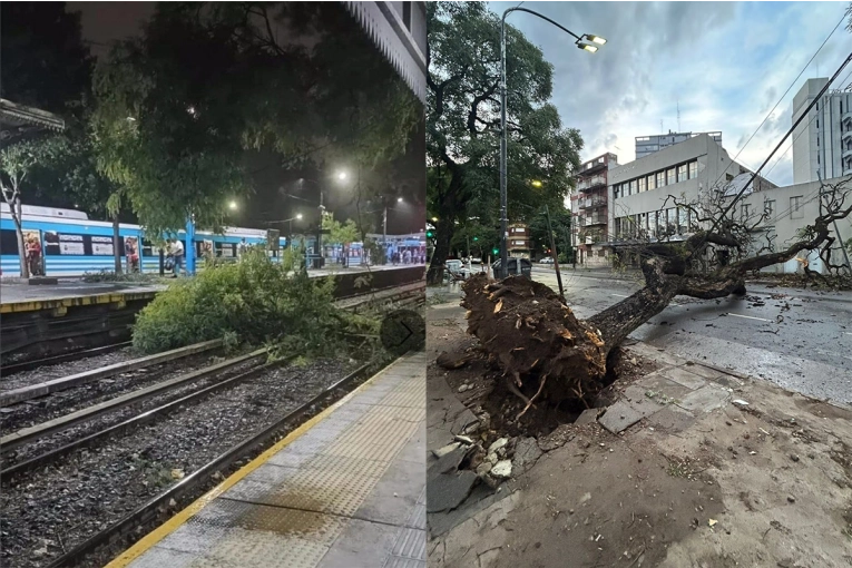 Temporal en Buenos Aires: usuarios sin luz, voladuras de techos y árboles caídos