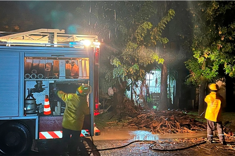 Un rayo incendió una palmera tras fuerte tormenta en Crespo