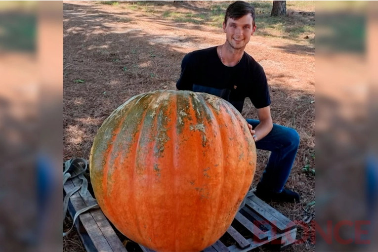 Entrerriano cosechó zapallo gigante de 127 kilos: características del sabor y textura