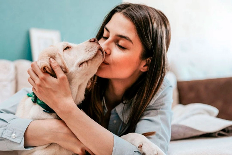 El Crematorio de Mascotas Paran&aacute; cumple su primer aniversario