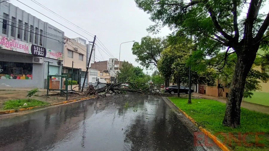 Árbol caído en calles Urquiza y Piedrabuena (foto Elonce)