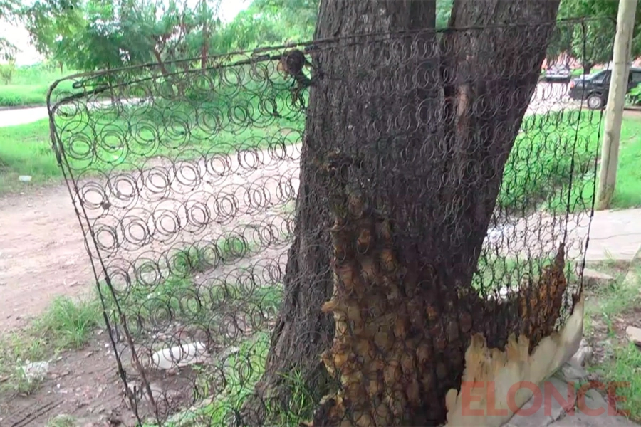 Golpe&oacute; a sus padres y quem&oacute; a su hermano