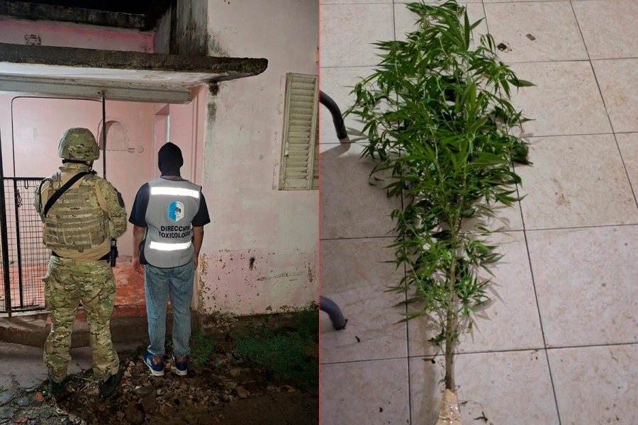 Los elementos secuestrados en la vivienda de calle El Tr&eacute;bol (foto Polic&iacute;a de Entre R&iacute;os)