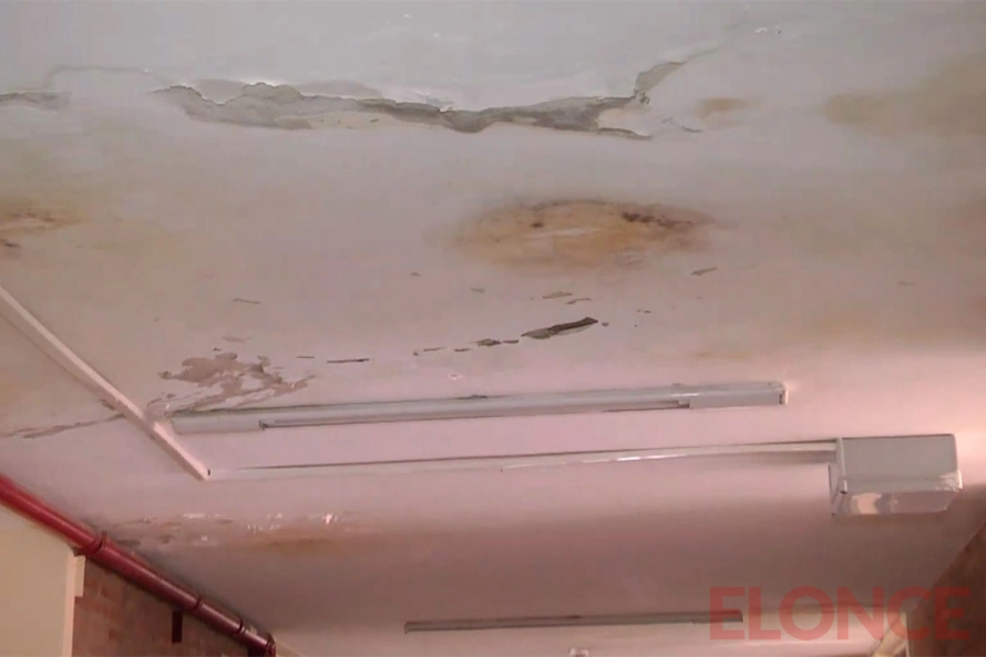 Filtraciones en escuela Guadalupe (foto Elonce)