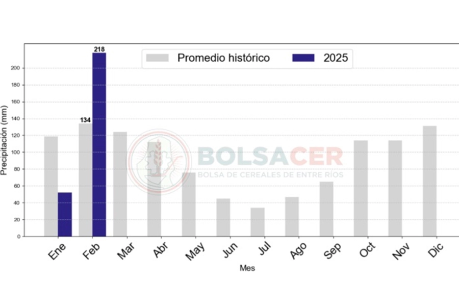 Los datos del SIBER