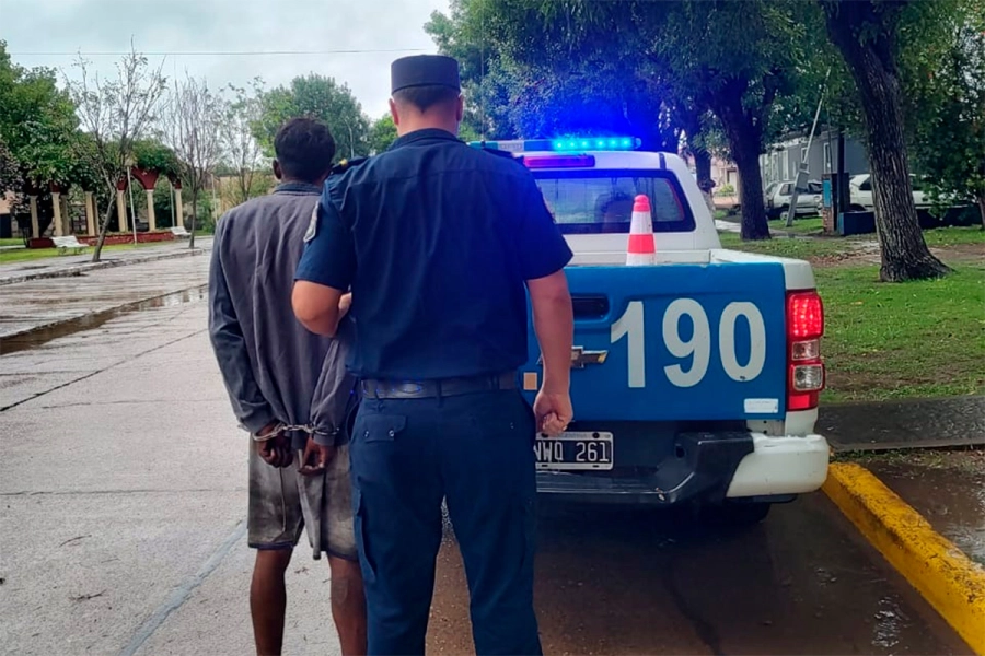 Personal policial de Viale