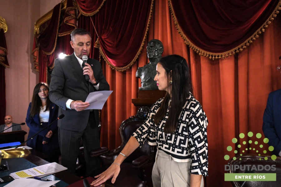 La diputada Silvina Decc&oacute; asumi&oacute; en reemplazo de Stefan&iacute;a Cora