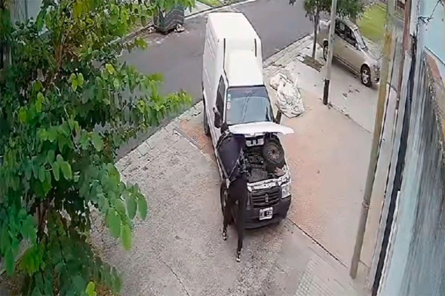 Foto: Captura de video.