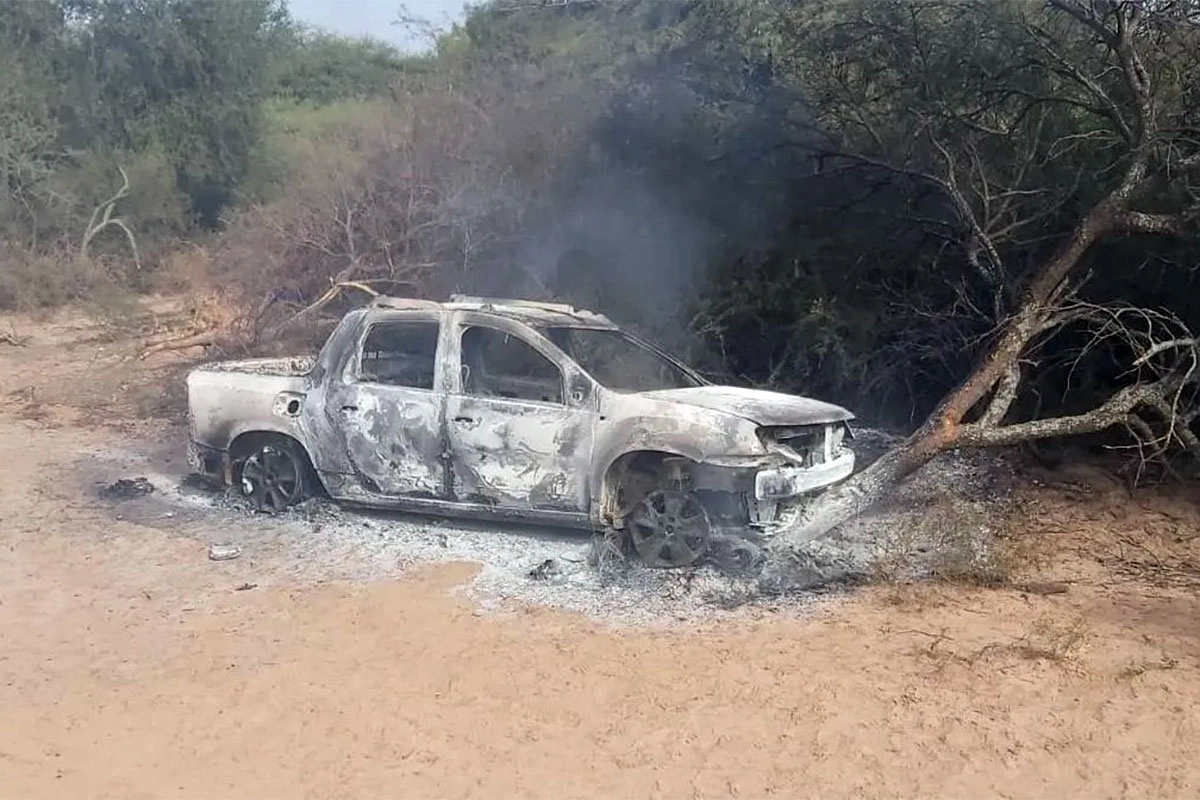 Lo picaron abejas, chocó y murió