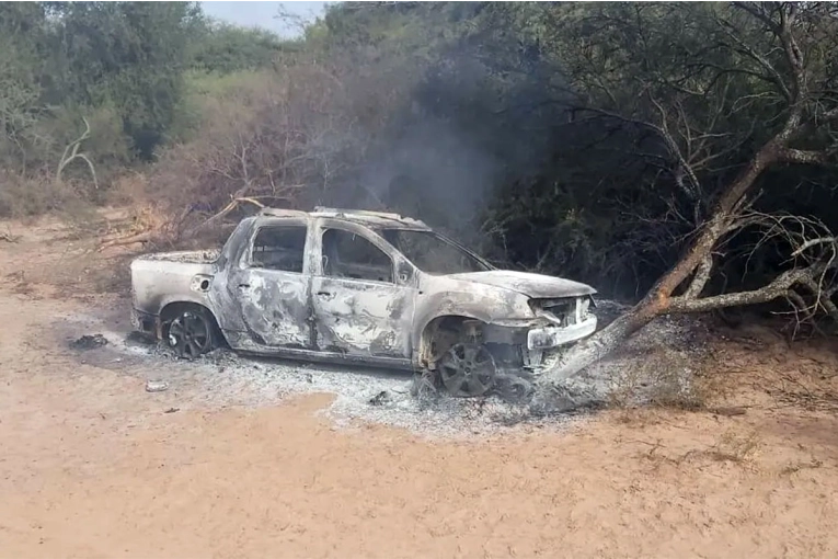 Lo atacaron abejas, chocó con su vehículo y murió calcinado en el rodado