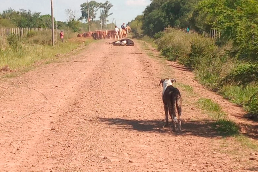 (Foto: Corrientes Hoy)