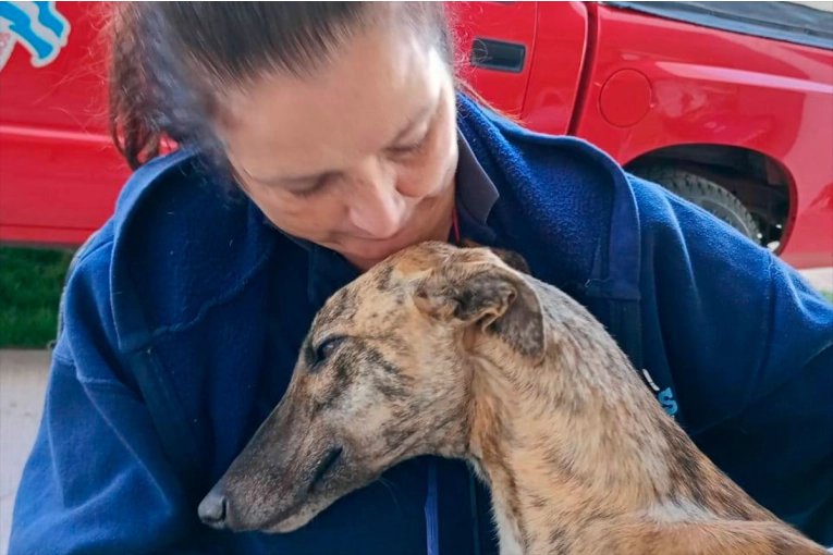 Bomberos Voluntarios de Paraná colaboran en rescatar a mascotas tras el desastre en Bahía Blanca