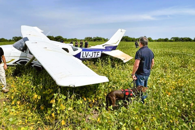 Perros de la Policía “marcaron olores” de cocaína en la avioneta abandonada en campo entrerriano