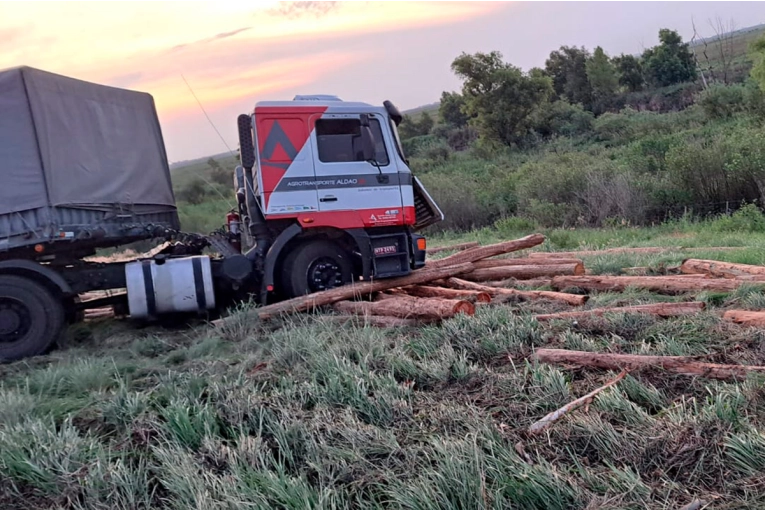 Un camión volcó su carga de pinos y otro despistó al chocarlos sobre ruta 174