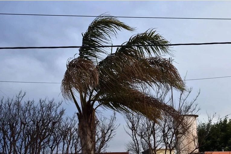 Amplían el alerta amarilla por vientos fuertes para gran parte de Entre Ríos