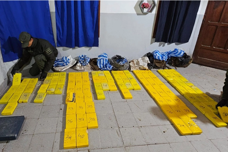 Incautaron importantes cantidades de cocaína en distintas provincias