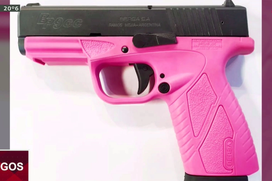 Algunas de las armas vinculadas a la causa