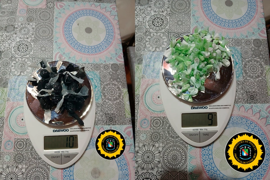 La investigación por el robo del arma de un policía desembocó en nuevos allanamientos: detuvieron a una vecina de Benito Legeren que tenía tobillera electrónica por venta de droga (foto Policía de Entre Ríos)